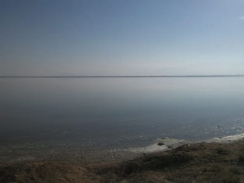 1200px-Photo-0697