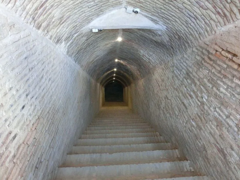 7371181_162