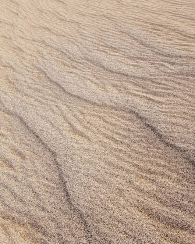 Plund desert Plund desert