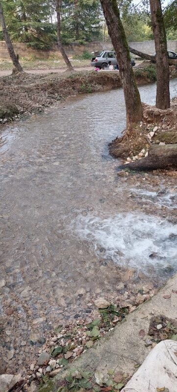 Gaugol spring Gaugol spring