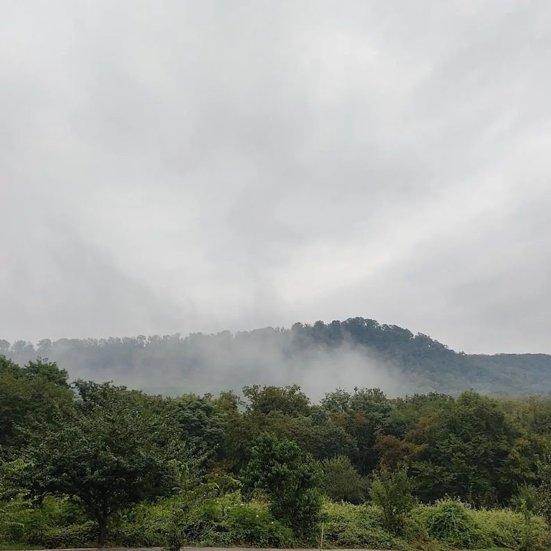 Naharkhoran forest area Naharkhoran forest area