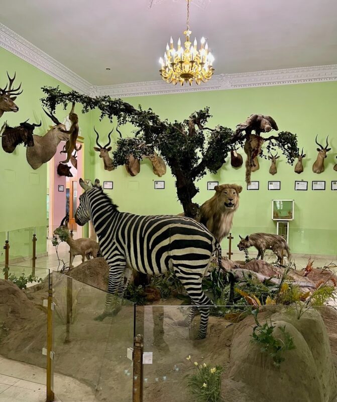 Haft Chenar Wildlife and Natural Artifacts Museum Haft Chenar Wildlife and Natural Artifacts Museum