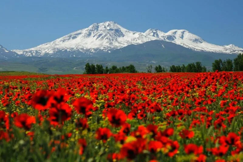 سبلان