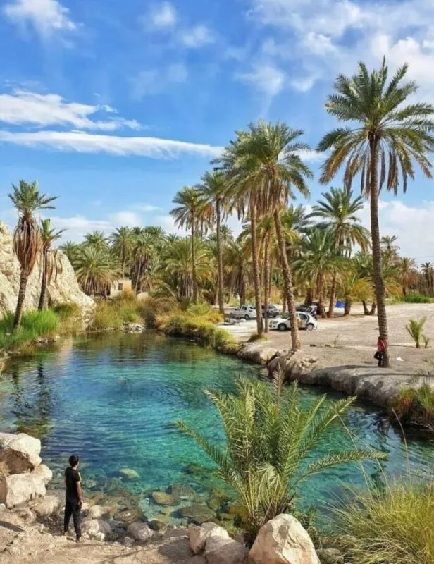 1275148_5020285--چشمه-سبزپوشان