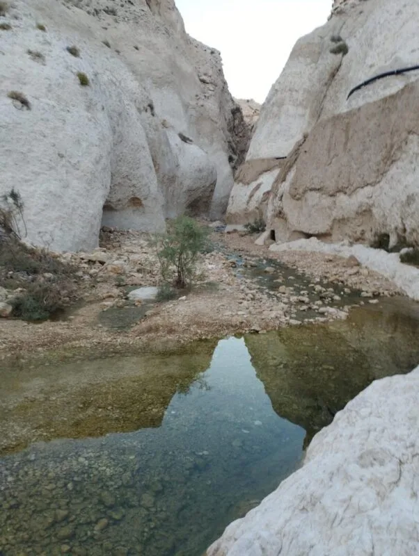 442466_1122848--مجتمع-گردشگری-آب-گرم-سورو